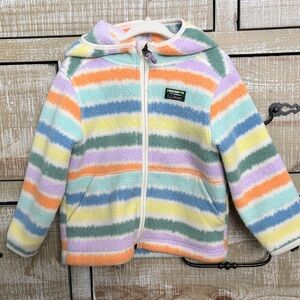 L.L. Bean Multicolor Striped Fleece Hoodie